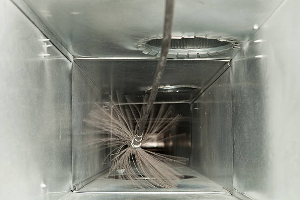 Best Air Duct Sanitizing Services  in Kenosha, WI